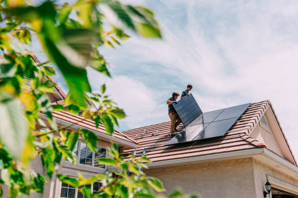 Best Roof Moss and Algae Removal  in Hillcrest, NY